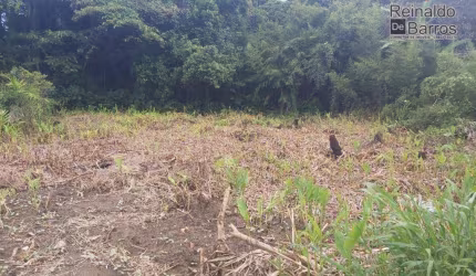Terreno à venda, 1000 m² por R$ 180.000 - Umuarama - Itanhaém/SP