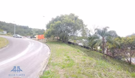 Terreno à venda, 785 m² por R$ 1.170.000,00 - Itacorubi - Florianópolis/SC