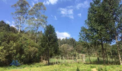 Terreno à venda, 152000 m² por R$ 1.500.000,00 - Centro - Anitápolis/SC