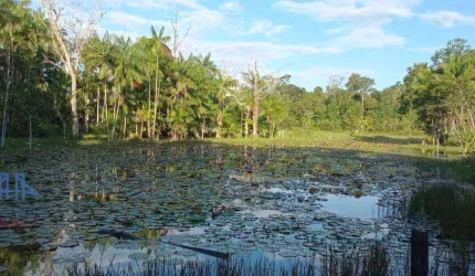Fazenda à venda, 2190000 m² por R$ 3.500.000,00 - Alça Viaria - Acará/PA
