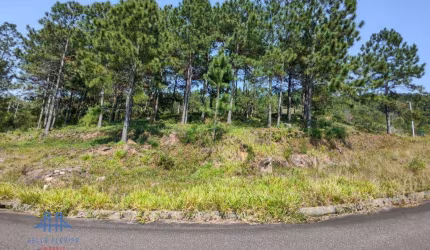 Terreno à venda, 747 m² por R$ 1.494.000,00 - Itacorubi - Florianópolis/SC