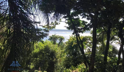 Terreno à venda, 53200 m² por R$ 810.000,00 - Lagoa da Conceição - Florianópolis/SC