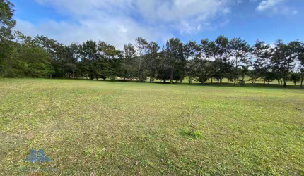Terreno à venda, 829 m² por R$ 749.000,00 - Ingleses do Rio Vermelho - Florianópolis/SC
