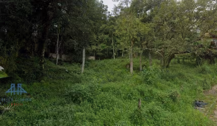 Terreno à venda, 920 m² por R$ 850.000,00 - Córrego Grande - Florianópolis/SC