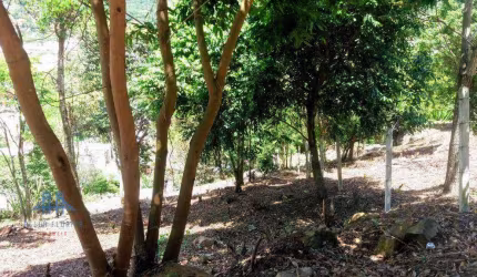 Terreno à venda, 1007 m² por R$ 999.000,00 - Cachoeira do Bom Jesus - Florianópolis/SC