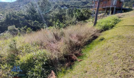 Terreno à venda, 638 m² por R$ 1.175.000,00 - Itacorubi - Florianópolis/SC