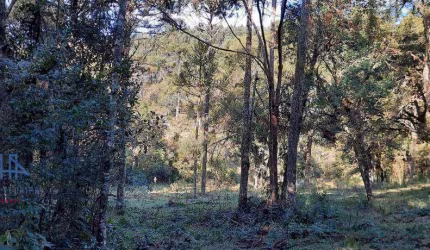 Terreno à venda, 27000 m² por R$ 455.000,00 - Santo Antônio - Urubici/SC