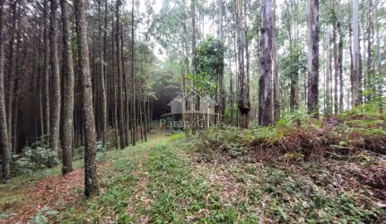 Terreno à venda na Estrada Municipal, Rio Abaixo, Bocaiúva do Sul por R$ 1.490.000