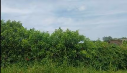 Oportunidade Única em RIO GRANDE - RS | Tipo: Terreno | Negociação: Venda Online  | Situação: Imóvel