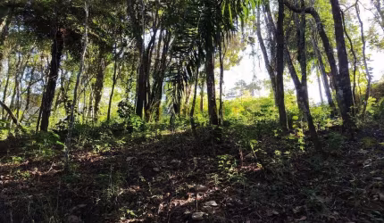 Terreno à venda, 1000 m² por R$ 240 mil  - Jardim Lago da Cantareira /SP - Mairiporã