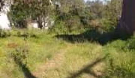 Terreno comercial à venda na Rua Carlos Sphor Filho, 1334, Moinhos, Lajeado, 10150 m2 por R$ 750.000