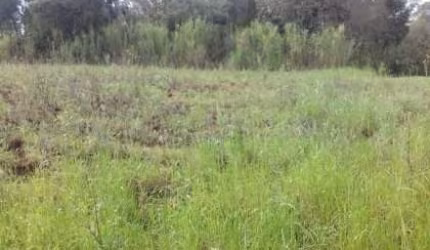 Terreno comercial à venda na Laudi João Fleck, 1, Floresta, Lajeado, 1233 m2 por R$ 636.000