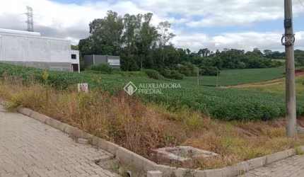 Terreno comercial à venda na RSC-453, 123, Floresta, Lajeado, 450 m2 por R$ 180.000