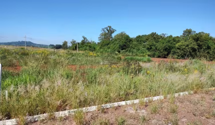 Terreno à venda na Rua Edmundo Niederle, 289, Conventos, Lajeado, 511 m2 por R$ 152.000