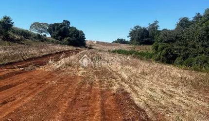 Terreno comercial à venda na Rua Arnoldo Alfredo Scherer, 61, Conventos, Lajeado, 245 m2 por R$ 115.000
