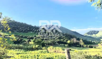 Fazenda totalmente produtiva com 48 hectares