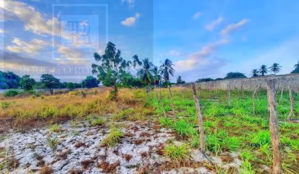 Sítio à venda no Aquiraz - Patacas - 11800m2 - Casa principal + Galpão