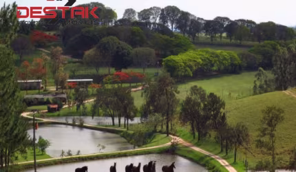Comercial - Area Rural