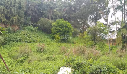 Terreno à venda, 1962 m² por R$ 2.200.000,00 - Saguaçu - Joinville/SC