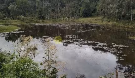 Chácara com 3 dormitórios à venda, 57.429 mil m²  - Centro - Campo Alegre/SC
