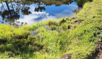 Chácara com 3 dormitórios à venda, 240 m²  - Ideal para condomínio de chácaras -  Centro - Campo Al