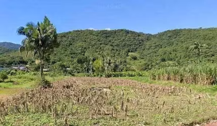 Chácara com 1 dormitório à venda, 30000 m² por R$ 650.000,00 - Itoupava Açu - Schroeder/SC