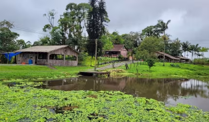 Chácara com 8 dormitórios à venda, 158900 m² por R$ 3.000.000,00 - Vila Nova - Joinville/SC
