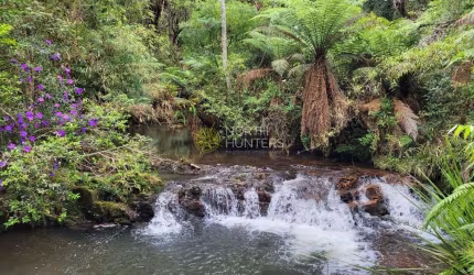 Chácara com cachoeira, própria para pousada e hotel- São Bento Do Sul/SC