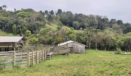 Fazenda à venda, 24.840.000 mil m² - Zona Rural - Campo Alegre/SC