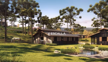 Fazenda Araçá – O Primeiro Condomínio Fechado de Luxo em Campo Alegre
