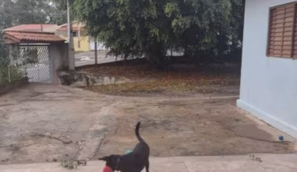 Casas a venda em Jundiaí, no terreno de 546 m² possui 3 casas com total de área construída de 262 m²