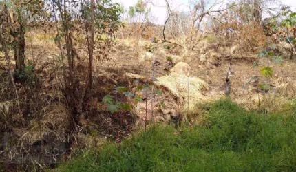 Terreno à venda, 823 m² por R$ 80.000,00 - Corumbá - Mairiporã/SP