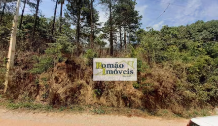 Terreno à venda, 1690 m² por R$ 150.000,00 - Residencial Jardim Maria Antonina - Mairiporã/SP