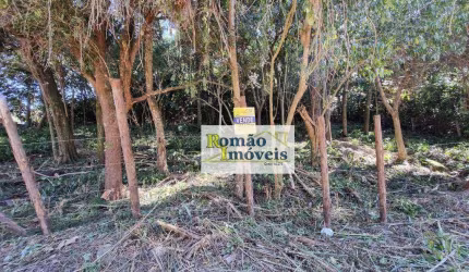 Terreno à venda, 2589 m² por R$ 170.000,00 - Cacéia - Mairiporã/SP