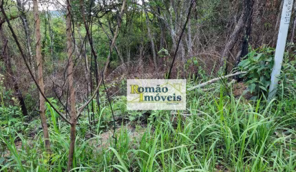 Terreno à venda, 1240 m² por R$ 135.000 - Paineiras de Mairiporã - Mairiporã/SP