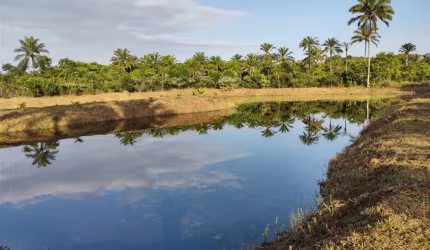 Fazenda em Valença
