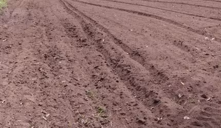 Fazenda com 80 hectores em Bonito