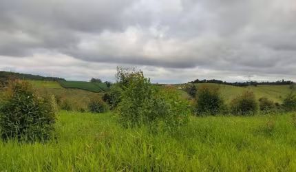 Terreno à venda, 20393 m² por R$ 390.000,00 - Pitangal - Jarinu/SP
