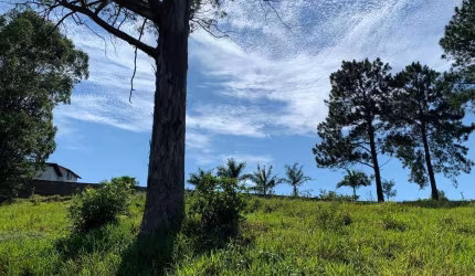 Terreno à venda, 5000 m² por R$ 640.000,00 - Ivoturucaia - Jundiaí/SP