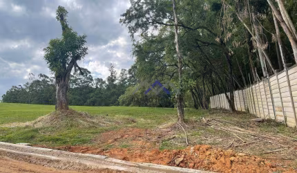 Terreno à venda, 800 m² por R$ 380.000,00 - Centro - Itupeva/SP