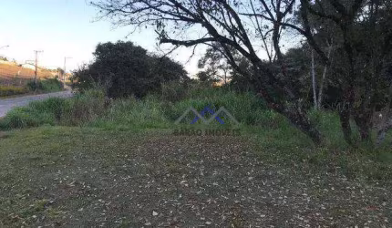Terreno à venda, 5930 m² por R$ 535.000,00 - Jardim Celeste - Jundiaí/SP