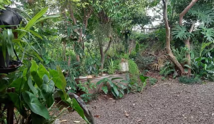 Terreno comercial