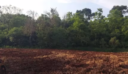 Sitio a venda no distrito de São Salvador