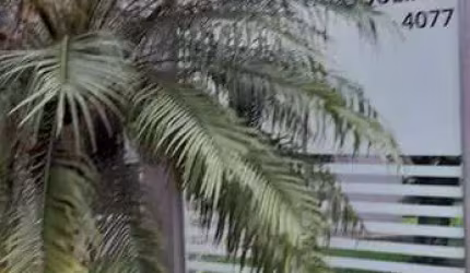 APARTAMENTO TRÊS RESIDENCIAL COQUEIRAL