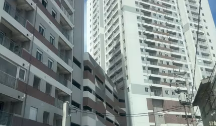NA PLANTA  ARICANDUVA.