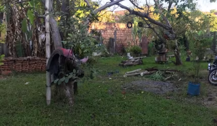 LOTE A VENDA NO BAIRRO SANTA MONICA