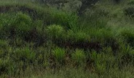 Terreno à venda no São Damião, Vespasiano  por R$ 500.000
