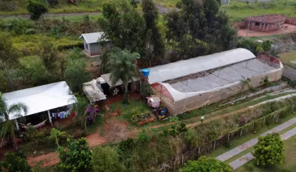 CHACARA COM HIDROPONIA MANDAGUAÇU-PR