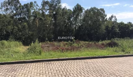 Amplo terreno com ótima topografia!