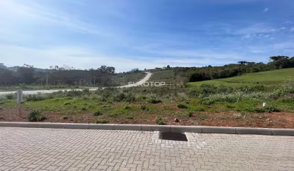 Amplo terreno plano na Garibaldina!